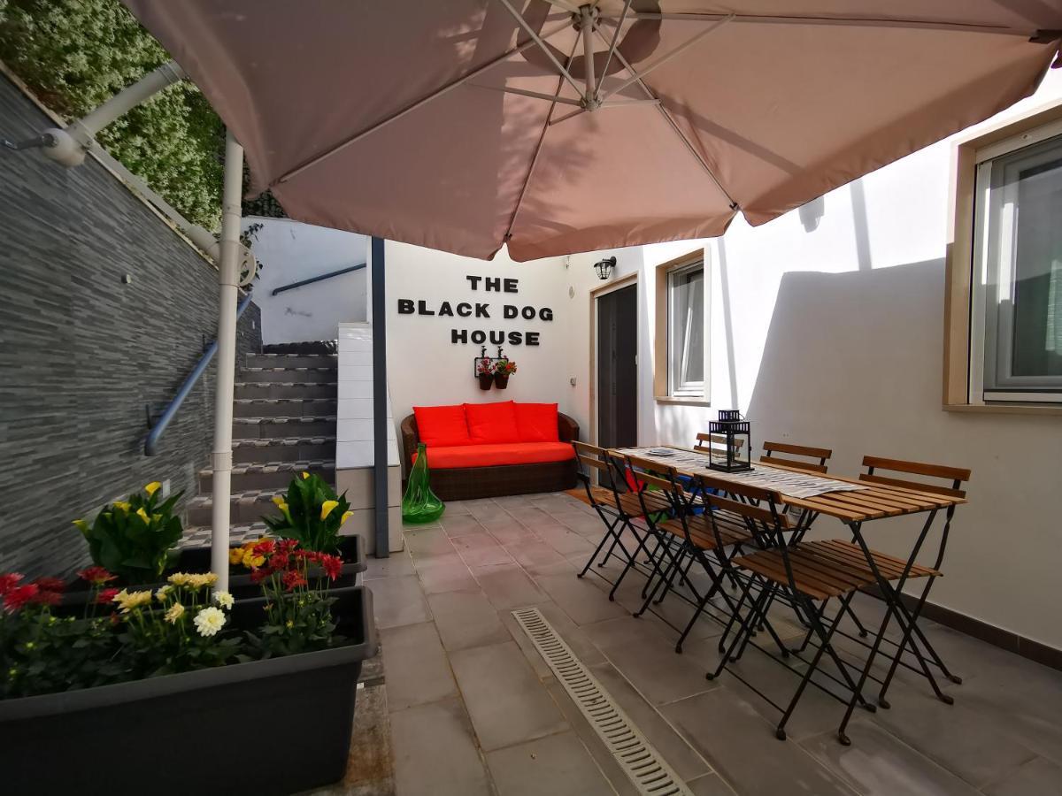 The Black Dog House Valenzano Exteriör bild